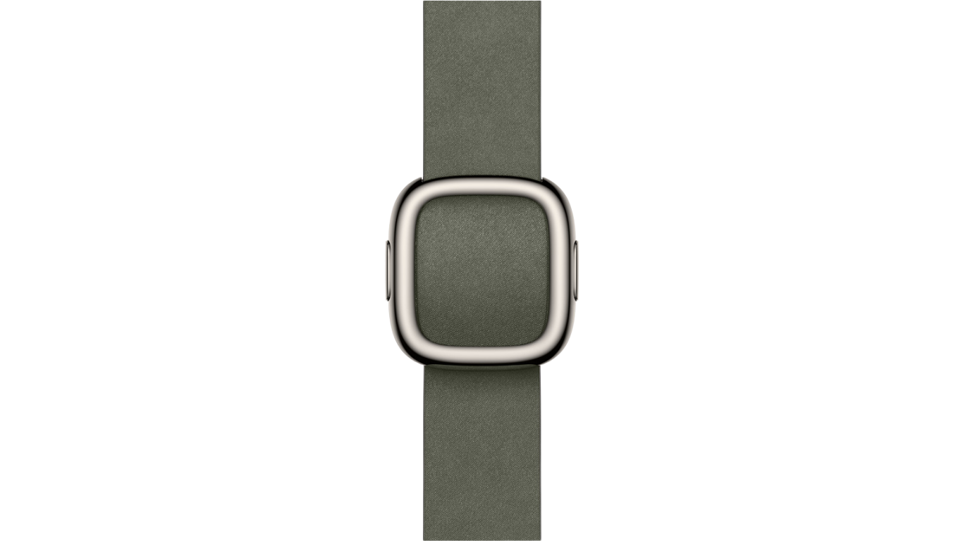Apple Watch Modern Buckle